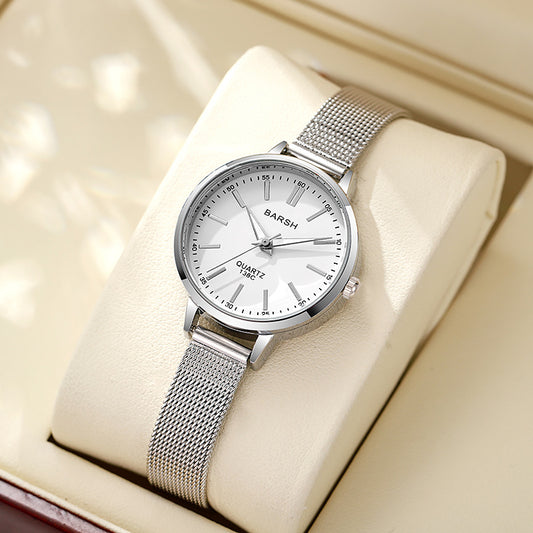 SLEEK SILVER MESH